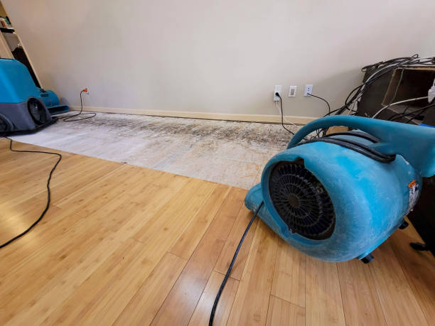Professional Basement Flood Cleanup technician working in Idanha, OR